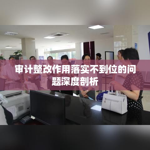 審計(jì)整改作用落實(shí)不到位的問題深度剖析
