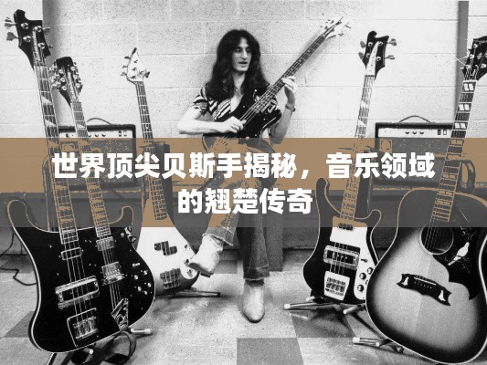 世界頂尖貝斯手揭秘，音樂領(lǐng)域的翹楚傳奇