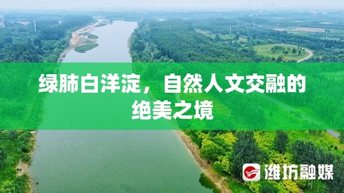 綠肺白洋淀，自然人文交融的絕美之境