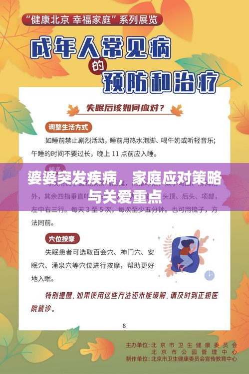 婆婆突發(fā)疾病，家庭應(yīng)對策略與關(guān)愛重點