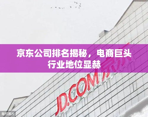 京東公司排名揭秘，電商巨頭行業(yè)地位顯赫