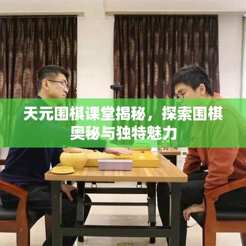 天元圍棋課堂揭秘，探索圍棋奧秘與獨特魅力