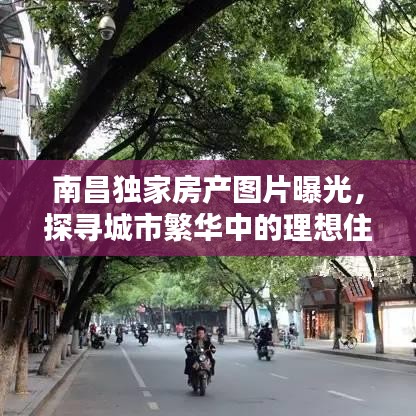 南昌獨(dú)家房產(chǎn)圖片曝光，探尋城市繁華中的理想住宅