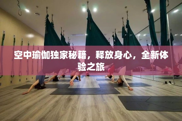 空中瑜伽獨家秘籍，釋放身心，全新體驗之旅