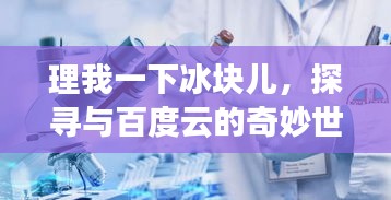 理我一下冰塊兒，探尋與百度云的奇妙世界之旅