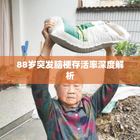 88歲突發(fā)腦梗存活率深度解析