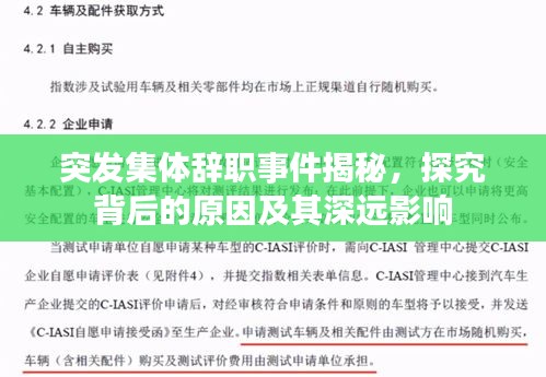 突發(fā)集體辭職事件揭秘，探究背后的原因及其深遠(yuǎn)影響