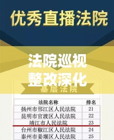 法院巡視整改深化法治建設(shè)，提升司法公信力，司法公正的有力保障