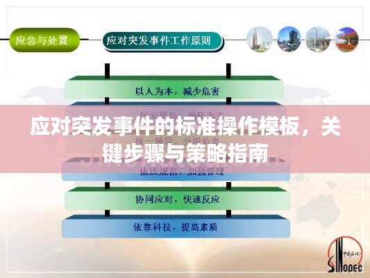 合作伙伴 第17頁