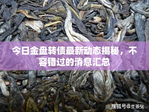 今日金盤轉(zhuǎn)債最新動態(tài)揭秘，不容錯過的消息匯總
