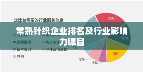 常熟針織企業(yè)排名及行業(yè)影響力矚目