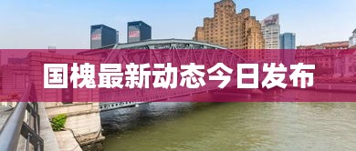 國槐最新動態(tài)今日發(fā)布