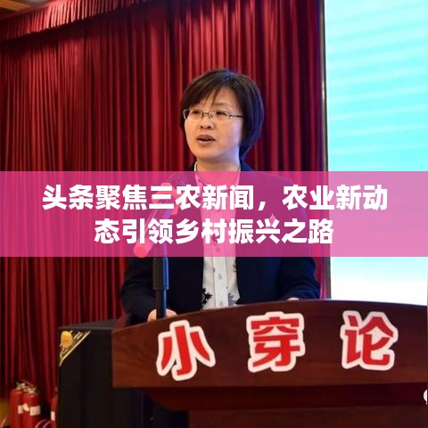 頭條聚焦三農(nóng)新聞，農(nóng)業(yè)新動態(tài)引領(lǐng)鄉(xiāng)村振興之路