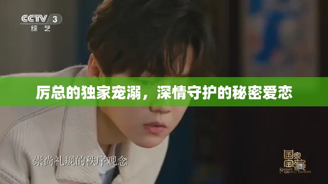 厲總的獨家寵溺，深情守護的秘密愛戀