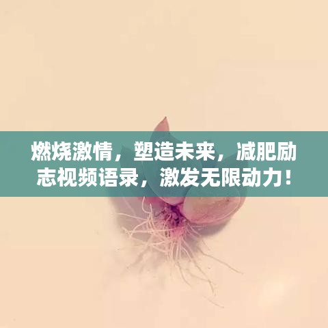 客戶反饋 第18頁(yè)