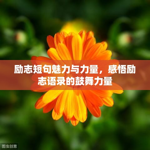 屈高就下