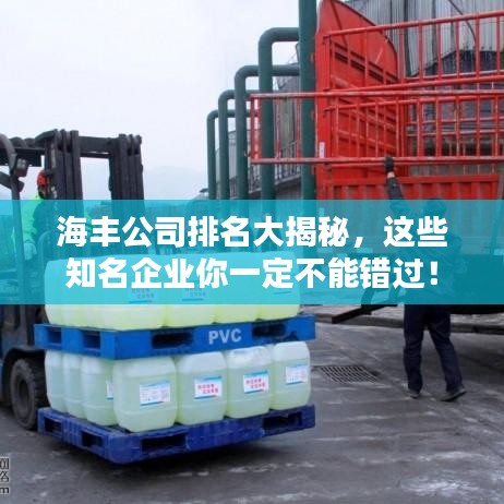 海豐公司排名大揭秘，這些知名企業(yè)你一定不能錯過！