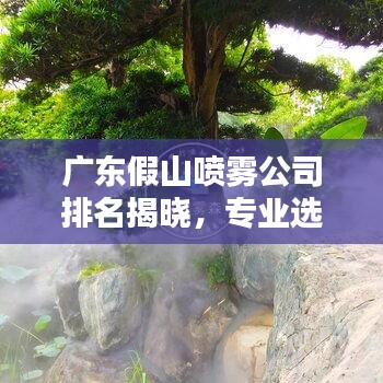 廣東假山噴霧公司排名揭曉，專業(yè)選擇，優(yōu)質(zhì)推薦！