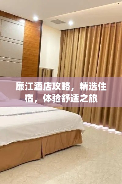廉江酒店攻略，精選住宿，體驗(yàn)舒適之旅