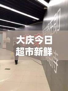 大慶今日超市新鮮視頻報(bào)道，一窺最新動(dòng)態(tài)！
