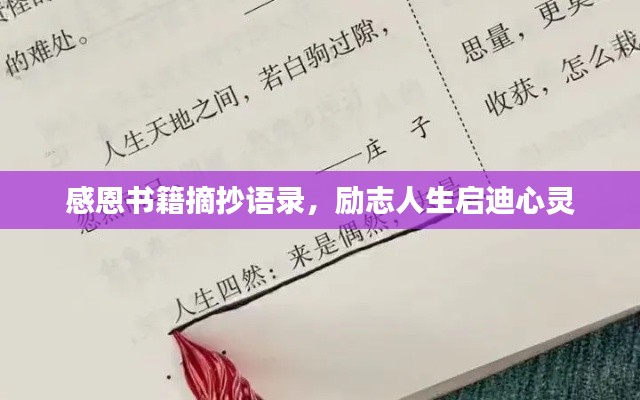 感恩書籍摘抄語(yǔ)錄，勵(lì)志人生啟迪心靈