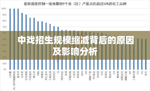 中戲招生規(guī)?？s減背后的原因及影響分析