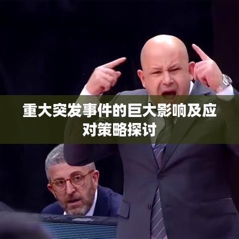 重大突發(fā)事件的巨大影響及應(yīng)對策略探討