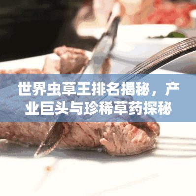 世界蟲草王排名揭秘，產(chǎn)業(yè)巨頭與珍稀草藥探秘之旅