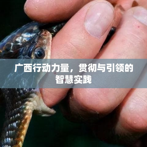 廣西行動力量，貫徹與引領(lǐng)的智慧實(shí)踐