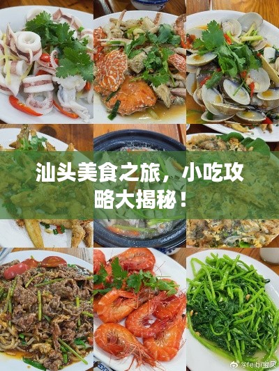 汕頭美食之旅，小吃攻略大揭秘！
