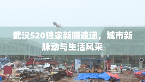 武漢520獨家新聞速遞，城市新脈動與生活風(fēng)采