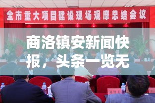 商洛鎮(zhèn)安新聞快報，頭條一覽無余
