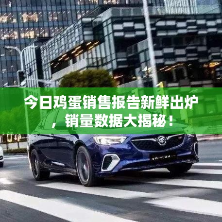 今日雞蛋銷售報(bào)告新鮮出爐，銷量數(shù)據(jù)大揭秘！
