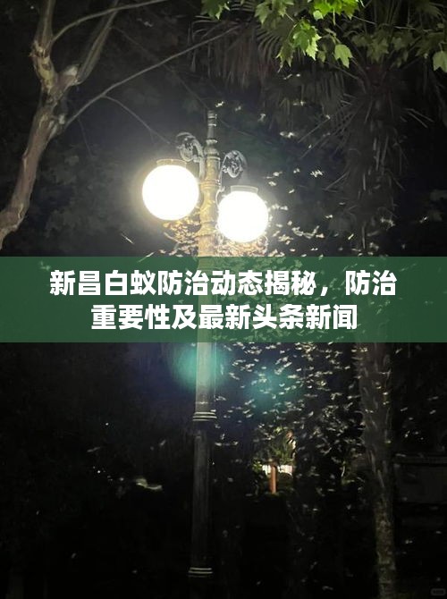 新昌白蟻防治動(dòng)態(tài)揭秘，防治重要性及最新頭條新聞