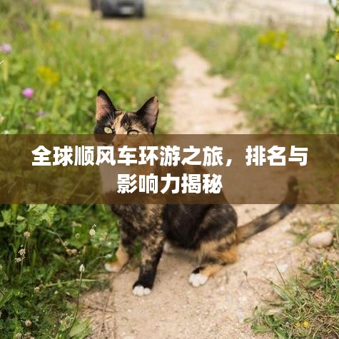 全球順風車環(huán)游之旅，排名與影響力揭秘