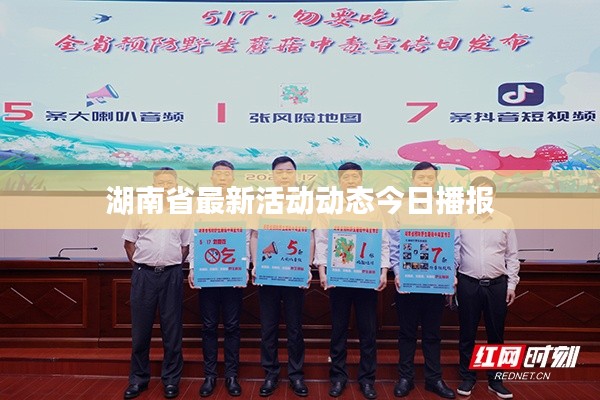 湖南省最新活動動態(tài)今日播報