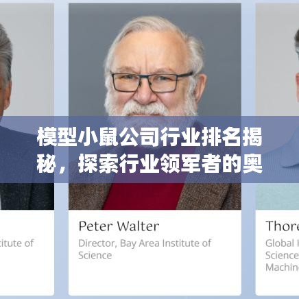 模型小鼠公司行業(yè)排名揭秘，探索行業(yè)領(lǐng)軍者的奧秘與洞察