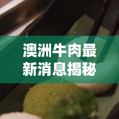 質(zhì)而不俚