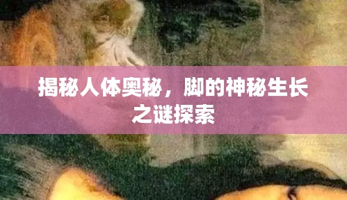 產(chǎn)品展示 第14頁