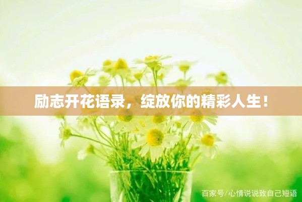 勵(lì)志開花語錄，綻放你的精彩人生！