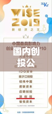 國(guó)內(nèi)創(chuàng)投公司排名大揭秘，深度解析影響力巨頭！