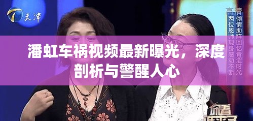 潘虹車禍視頻最新曝光，深度剖析與警醒人心