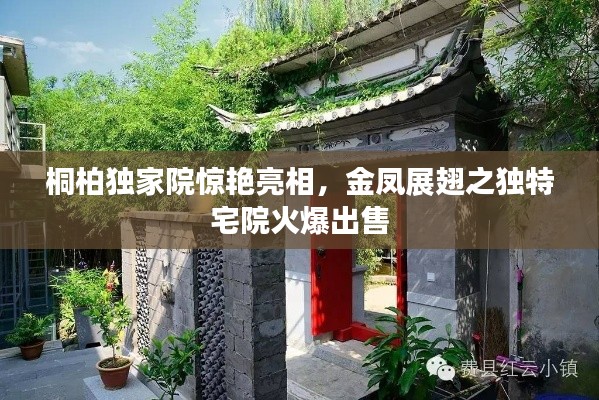 桐柏獨(dú)家院驚艷亮相，金鳳展翅之獨(dú)特宅院火爆出售