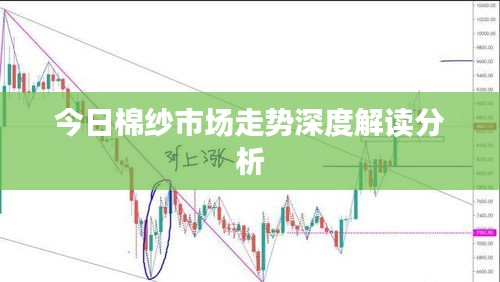 今日棉紗市場走勢深度解讀分析