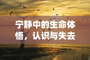 寧靜中的生命體悟，認識與失去的交織之旅