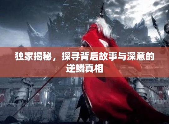 獨(dú)家揭秘，探尋背后故事與深意的逆鱗真相