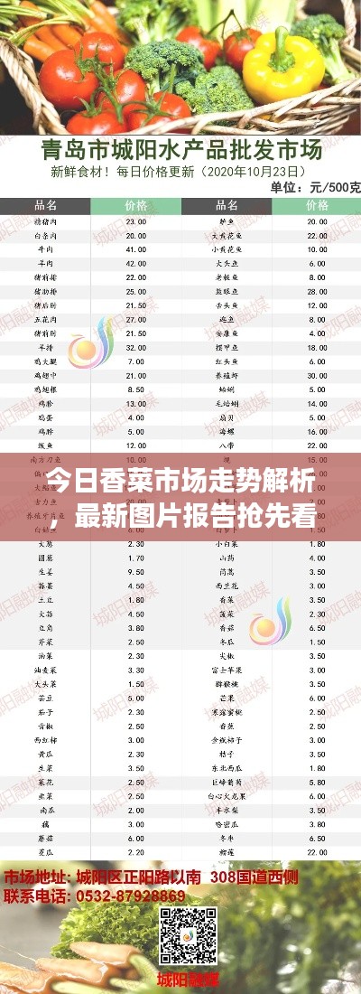 今日香菜市場走勢解析，最新圖片報(bào)告搶先看