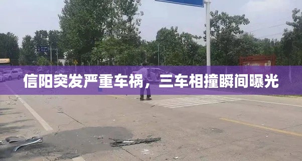 蟲言鳥跡