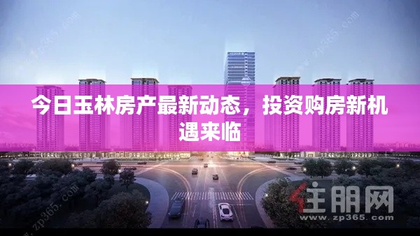 客戶反饋 第12頁