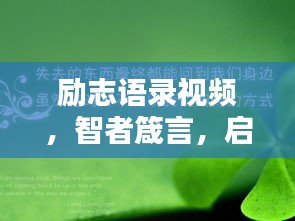 鳳凰于飛